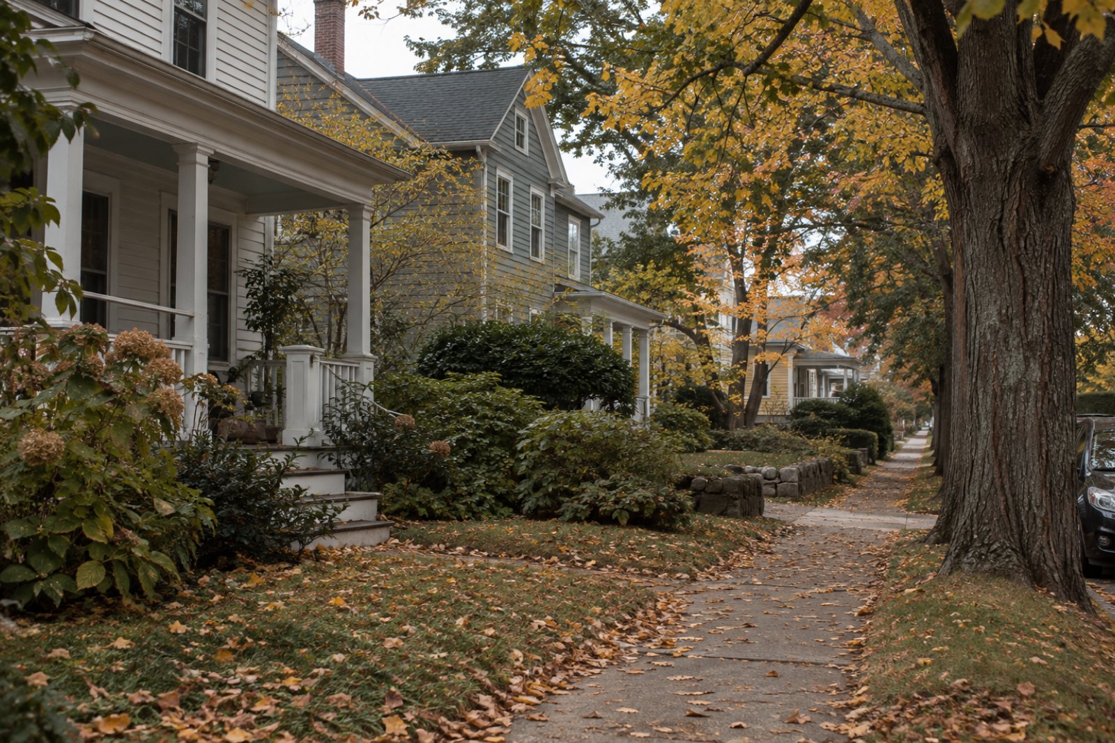 Older wood-clad houses along a tree-lined street in autumn